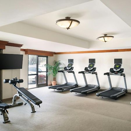 Springhill Suites By Marriott Tampa Westshore Luaran gambar